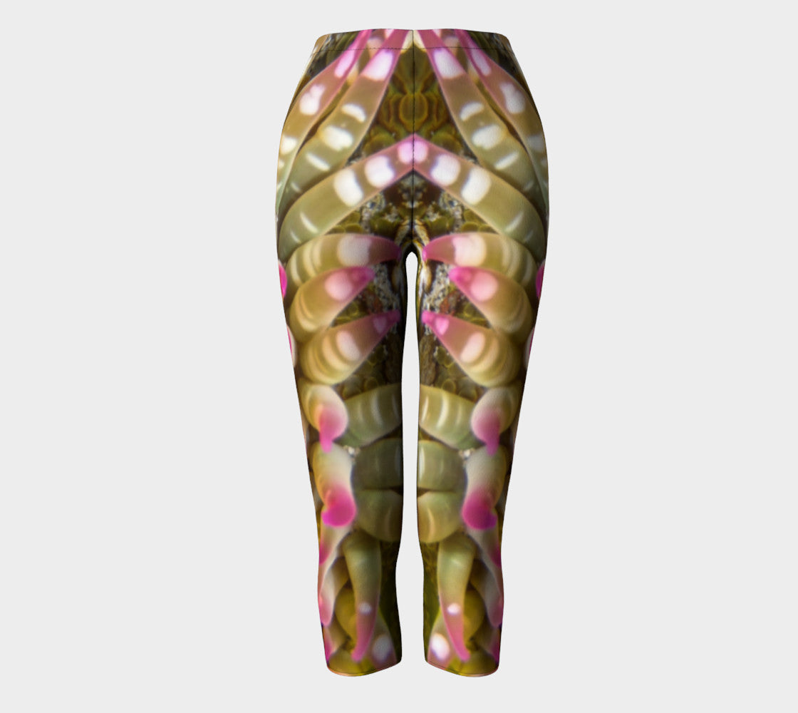 Enchanted Sea Anemone Capris by Roxy Hurtubise full front
