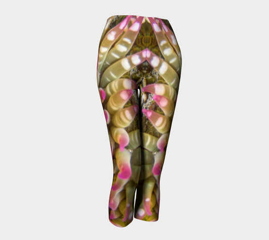 Enchanted Sea Anemone Capris by Roxy Hurtubise front
