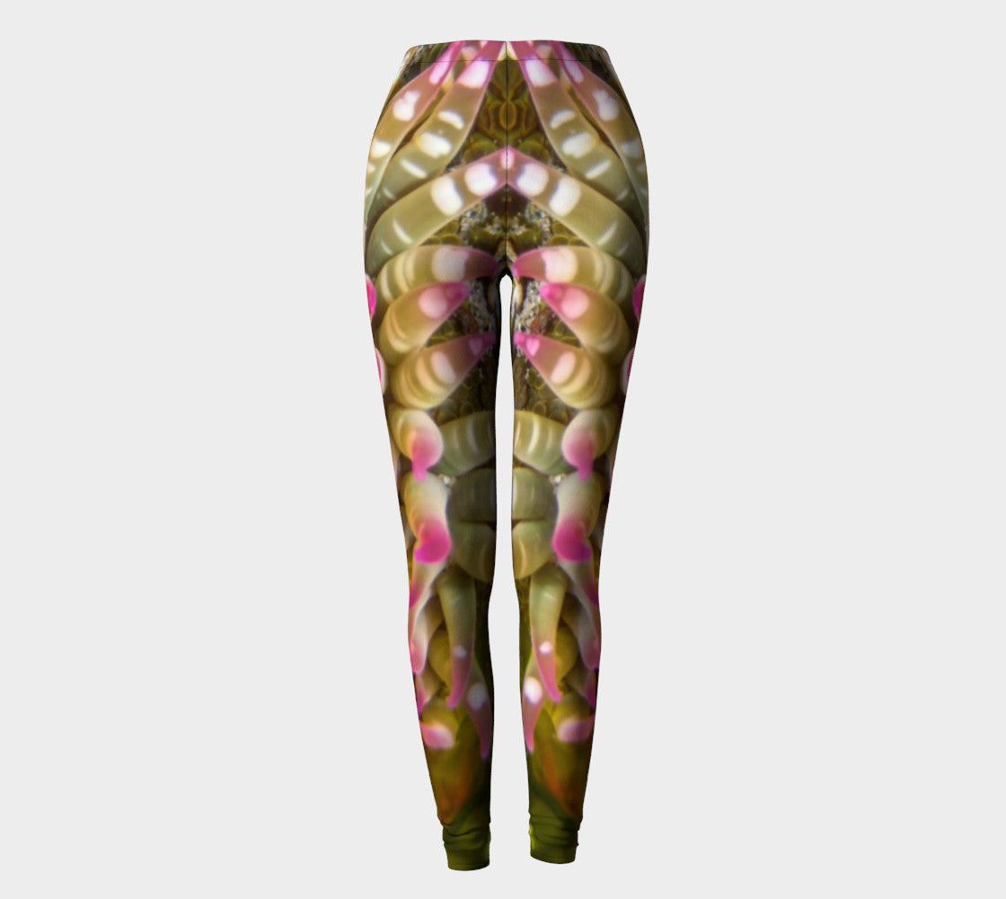 Enchanted Sea Anemone Leggings by Roxy Hurtubise full front