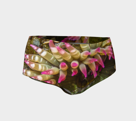 Enchanted Sea Anemone Mini Shorts by Roxy Hurtubise vanislegoddess.com front