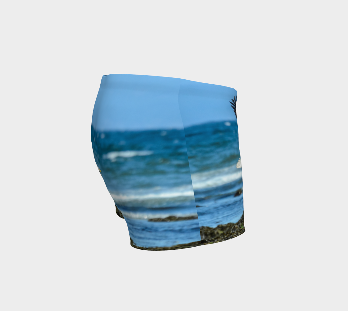 Fly Like A Eagle Shorts Rightside