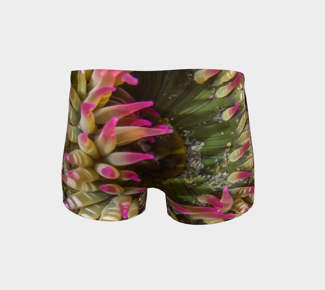 Enchanted Sea Anemone Shorts back