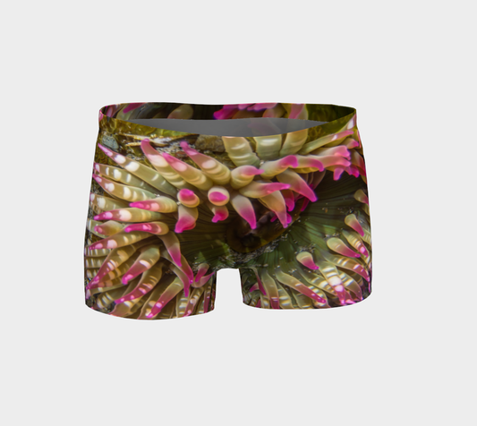 Enchanted Sea Anemone Shorts Front