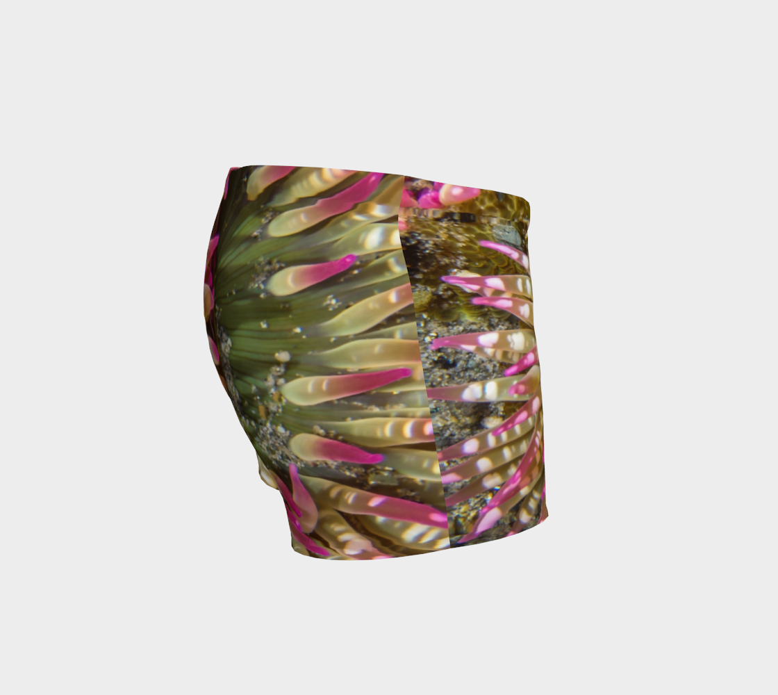 Enchanted Sea Anemone Shorts Rightside